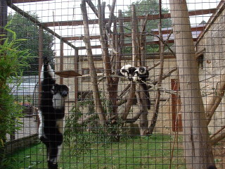 Photo /users/aendr/cheshirecat/1102