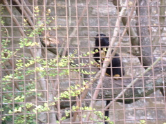 Photo /users/aendr/cheshirecat/1109