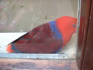 Photo /users/aendr/cheshirecat/1114