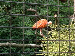 Photo /users/aendr/cheshirecat/1116