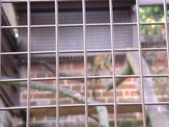 Photo /users/aendr/cheshirecat/1119