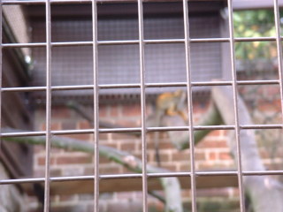 Photo /users/aendr/cheshirecat/1119