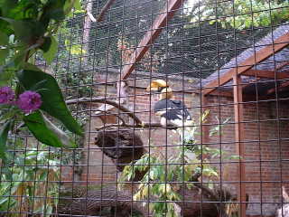 Photo /users/aendr/cheshirecat/1124