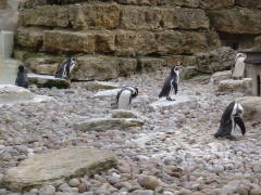 Photo /users/aendr/cheshirecat/1125