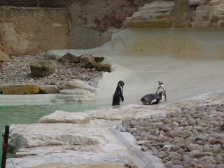 Photo /users/aendr/cheshirecat/1126