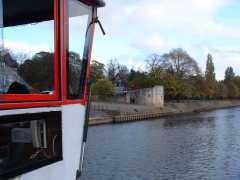 Photo /users/aendr/cheshirecat/1148