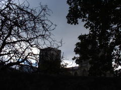 Photo /users/aendr/cheshirecat/1155