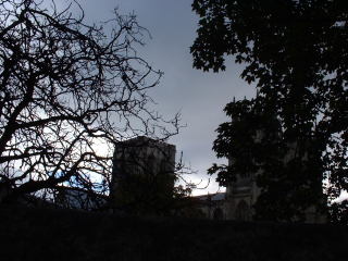 Photo /users/aendr/cheshirecat/1155