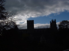 Photo /users/aendr/cheshirecat/1156