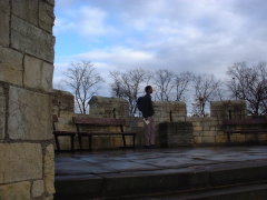 Photo /users/aendr/cheshirecat/1157