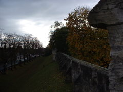 Photo /users/aendr/cheshirecat/1158