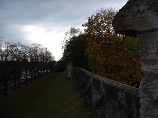 Photo /users/aendr/cheshirecat/1158