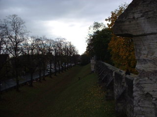 Photo /users/aendr/cheshirecat/1159