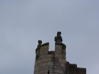 Photo /users/aendr/cheshirecat/1162