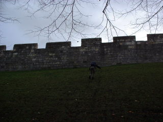 Photo /users/aendr/cheshirecat/1177