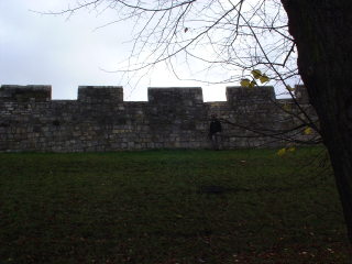 Photo /users/aendr/cheshirecat/1178