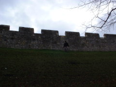 Photo /users/aendr/cheshirecat/1179