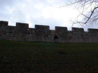 Photo /users/aendr/cheshirecat/1179