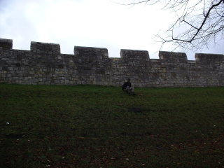 Photo /users/aendr/cheshirecat/1180