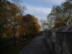 Photo /users/aendr/cheshirecat/1185