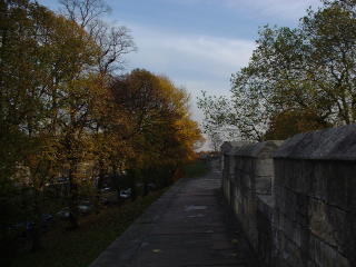 Photo /users/aendr/cheshirecat/1185