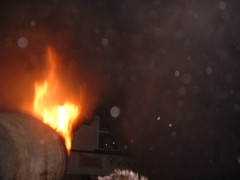 Photo /users/aendr/cheshirecat/1191