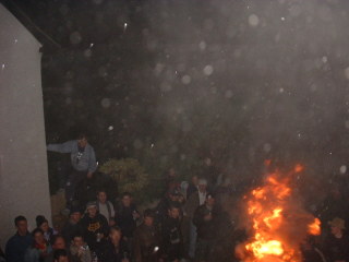 Photo /users/aendr/cheshirecat/1209