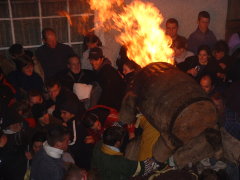 Photo /users/aendr/cheshirecat/1225