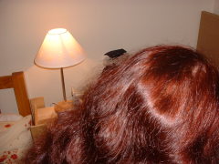 Photo /users/aendr/cheshirecat/1283