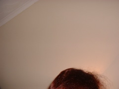 Photo /users/aendr/cheshirecat/1284