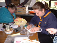 Photo /users/aendr/cheshirecat/175