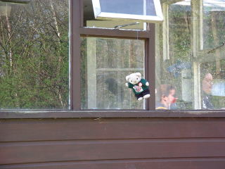 Photo /users/aendr/cheshirecat/180