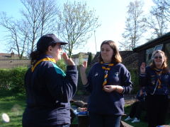 Photo /users/aendr/cheshirecat/189