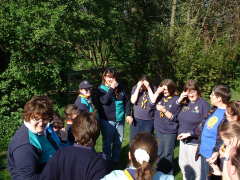 Photo /users/aendr/cheshirecat/213