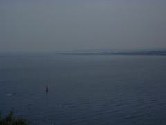 Photo /users/aendr/cheshirecat/253