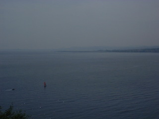 Photo /users/aendr/cheshirecat/253