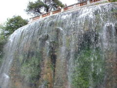 Photo /users/aendr/cheshirecat/254