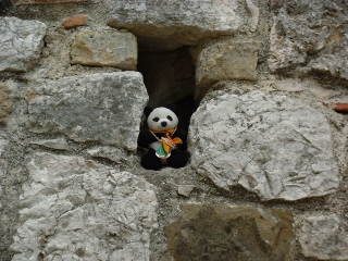 Photo /users/aendr/cheshirecat/256