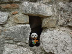 Photo /users/aendr/cheshirecat/257