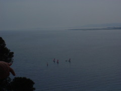 Photo /users/aendr/cheshirecat/262