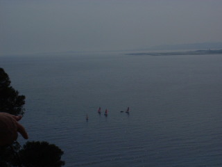 Photo /users/aendr/cheshirecat/262