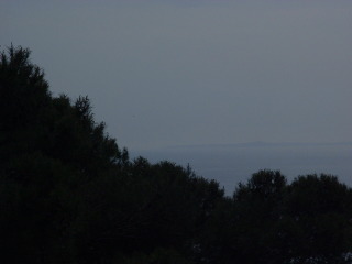 Photo /users/aendr/cheshirecat/263