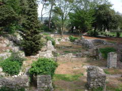 Photo /users/aendr/cheshirecat/266