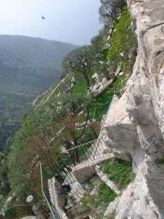 Photo /users/aendr/cheshirecat/271