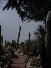 Photo /users/aendr/cheshirecat/274