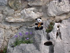 Photo /users/aendr/cheshirecat/275