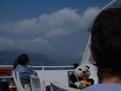 Photo /users/aendr/cheshirecat/284