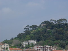 Photo /users/aendr/cheshirecat/294