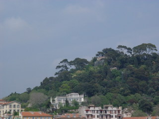 Photo /users/aendr/cheshirecat/294