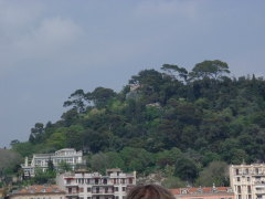 Photo /users/aendr/cheshirecat/295